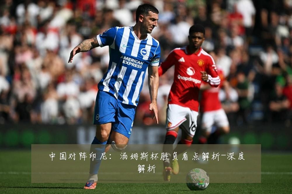 中国对阵印尼：汤姆斯杯胜负看点解析-深度解析