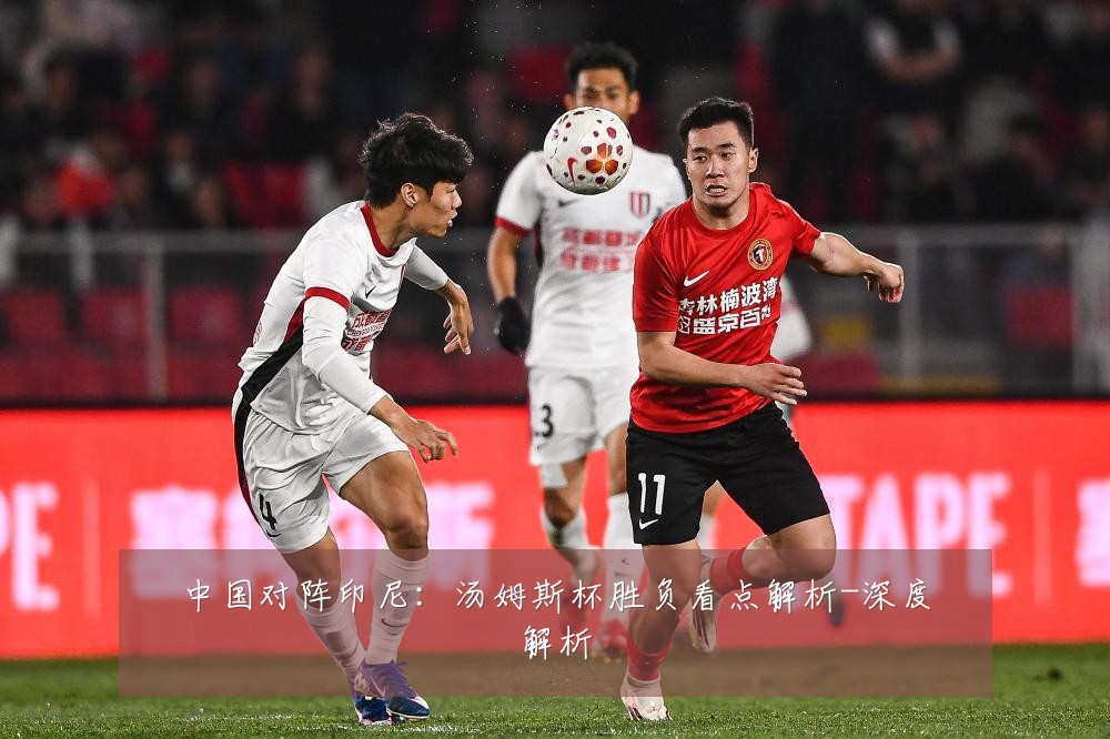中国对阵印尼：汤姆斯杯胜负看点解析-深度解析